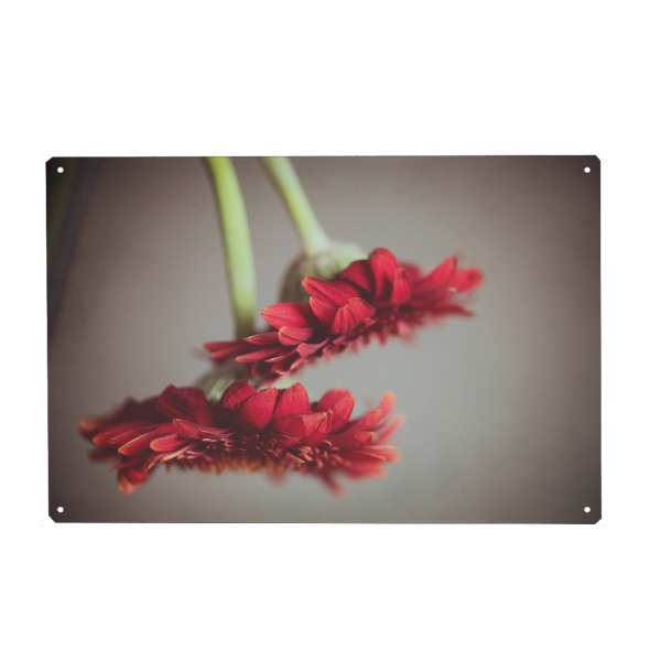 Holzbild "Upside down" artboxONE - Floral