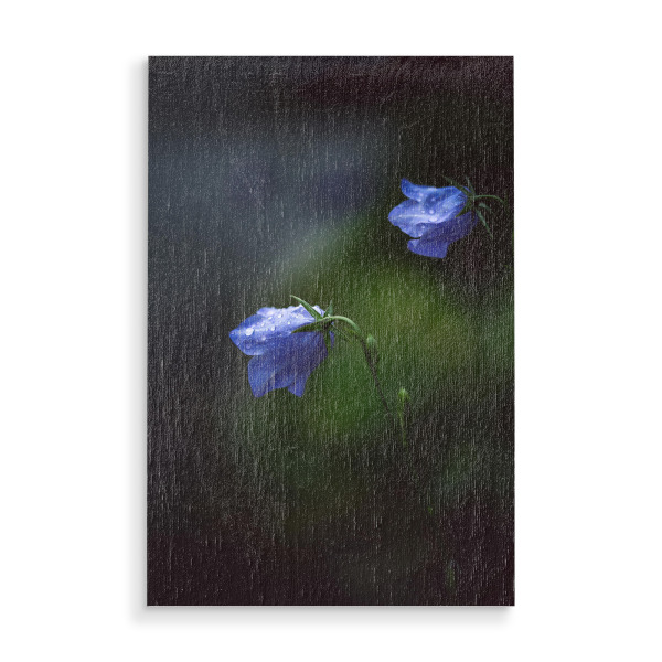 Holzbild "Blaupunkt" artboxONE - Floral