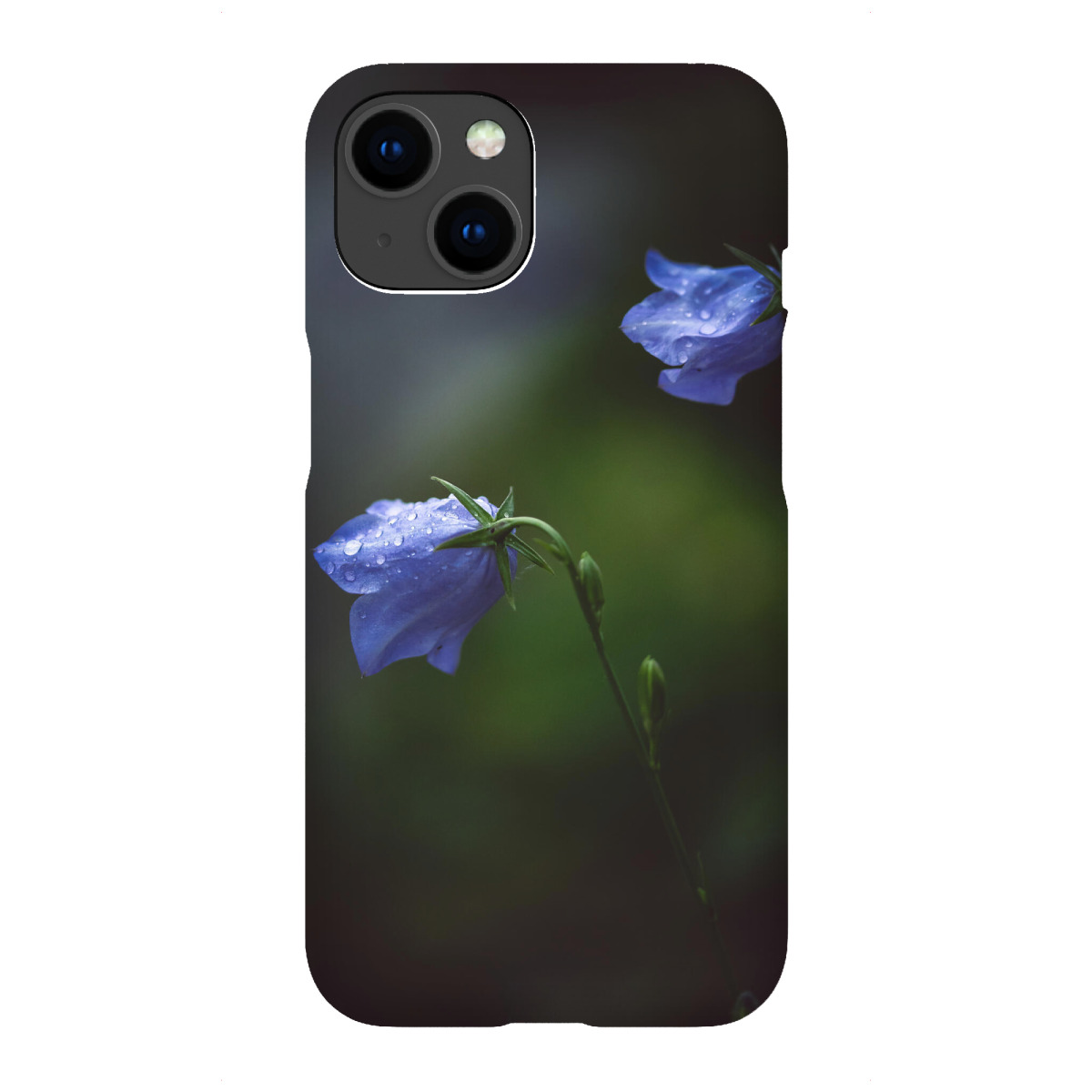 "Blaupunkt"für iPhone - Premium-Case Handyhülle artboxONE