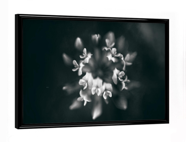 Poster mit schwarzem Rahmen "Blumenkränzchen" artboxONE - Floral
