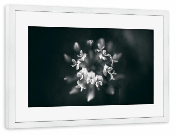 Poster mit Rahmen weiß "Blumenkränzchen" artboxONE - Floral