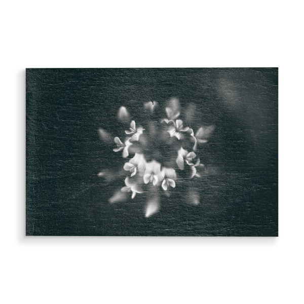 Holzbild "Blumenkränzchen" artboxONE - Floral