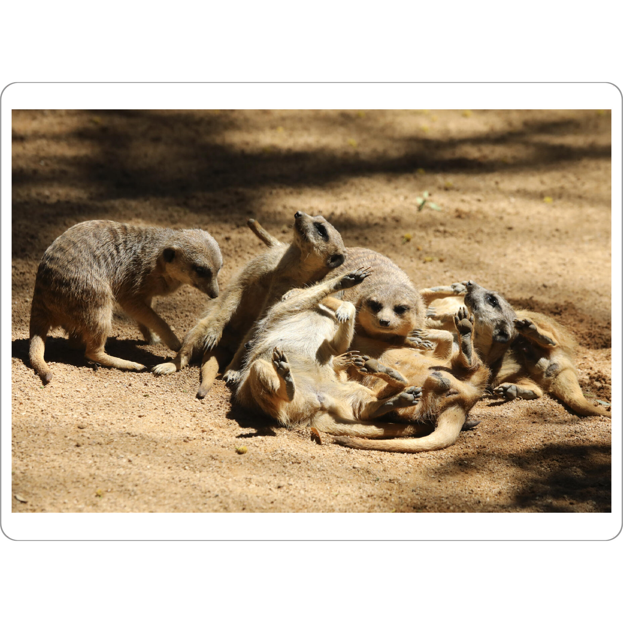 Tischset "Lustige Erdmännchen Chaos Familie" artboxONE - Für Kinder,Tiere,Liebe,Für Mama,Lustig