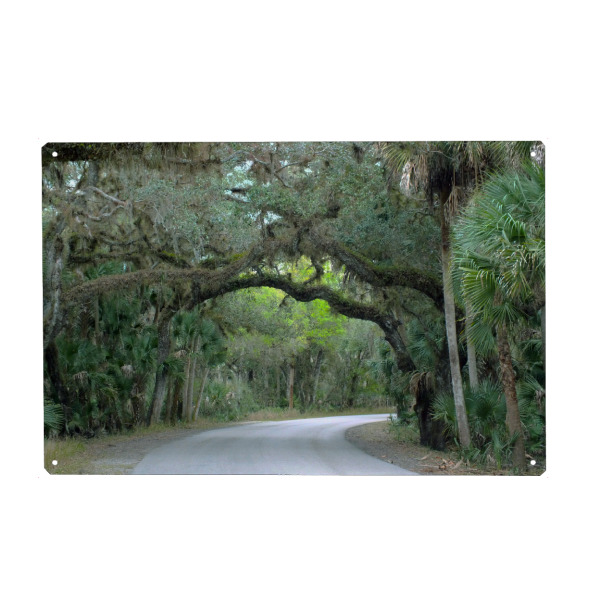 Holzbild "A Southern Oak Alley" artboxONE - Natur,Reise,Reise / Länder