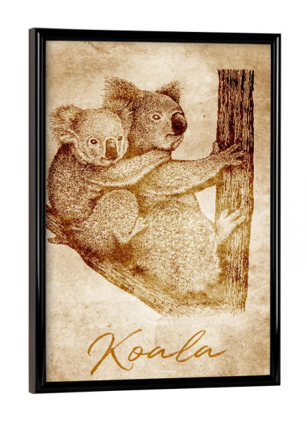 Poster mit schwarzem Rahmen "Koala vintage" artboxONE - Reise,Tiere,Reise / Länder