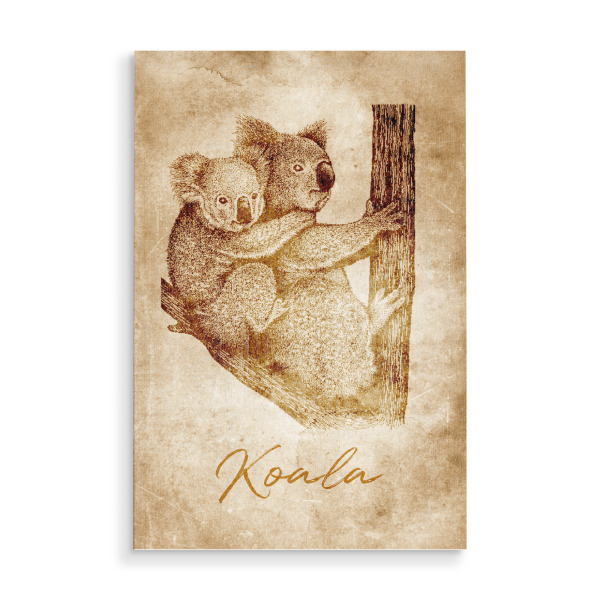 Holzbild "Koala vintage" artboxONE - Reise,Tiere,Reise / Länder