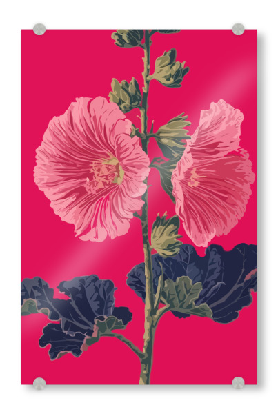 Acrylglasbild "Pink flowers illustration" artboxONE - Floral