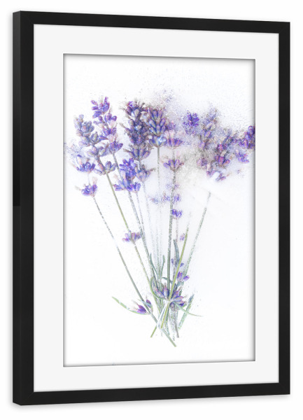 Poster mit Rahmen schwarz "Lavendel in Eis" artboxONE - Floral - Lavendel,Blumen,Eis,Natur,Kalt,Weiß,Fotografie,Kunst