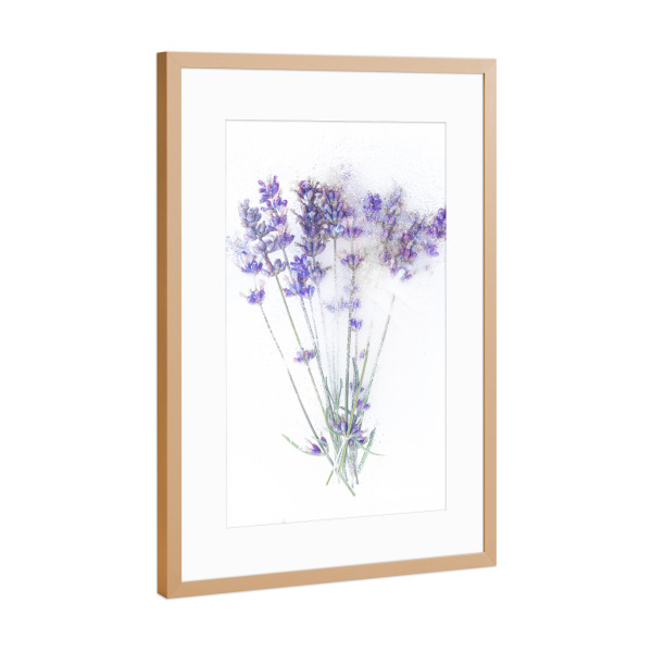 Poster mit Rahmen Kupfer "Lavendel in Eis" artboxONE - Floral - Lavendel,Blumen,Eis,Natur,Kalt,Weiß,Fotografie,Kunst
