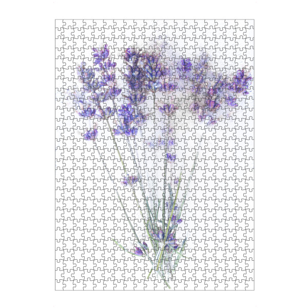 artboxONE Puzzle "Lavendel in Eis" artboxONE - Floral - Lavendel,Blumen,Eis,Natur,Kalt,Weiß,Fotografie,Kunst - Bild lavendel