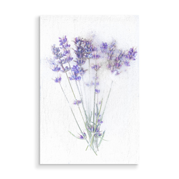 Holzbild "Lavendel in Eis" artboxONE - Floral - Lavendel,Blumen,Eis,Natur,Kalt,Weiß,Fotografie,Kunst