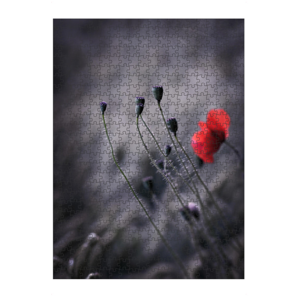 Puzzle Ravensburger "Farbiger Tupfer" artboxONE - Floral - Mohn,Mohnblumen,Blüte,Natur,Lila,Rot,Textur,Vintage,Feld,Farbtupfer,Gegenlicht