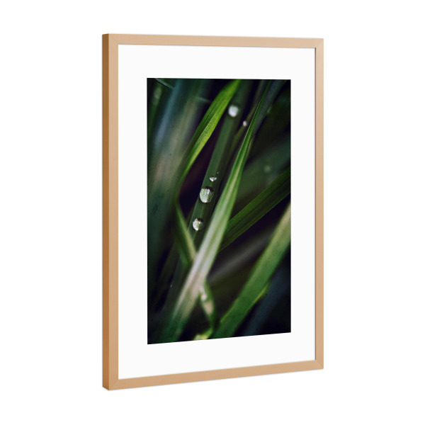 Poster mit Rahmen Kupfer "Tropfenparade" artboxONE - Floral