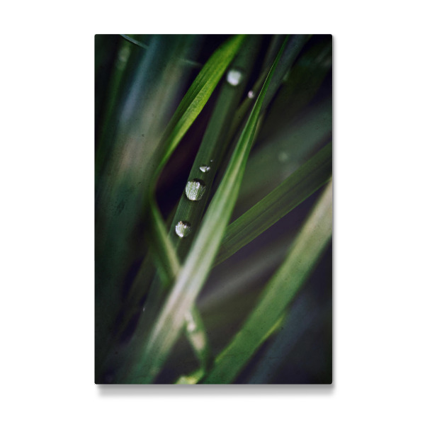 Galerie-Print "Tropfenparade" 30x20 cm artboxONE