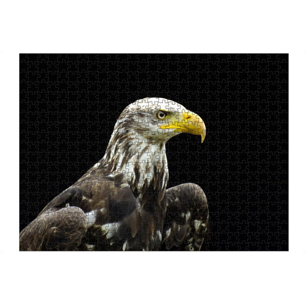 artboxONE Puzzle "Ein Weißkopfseeadler" artboxONE - Natur,Reise,Tiere,Reise / Länder