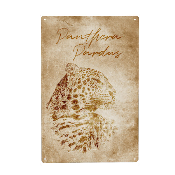 Metall Poster "Leopard vintage" artboxONE - Reise,Tiere,Reise / Afrika,Reise / Asien,Reise / Länder