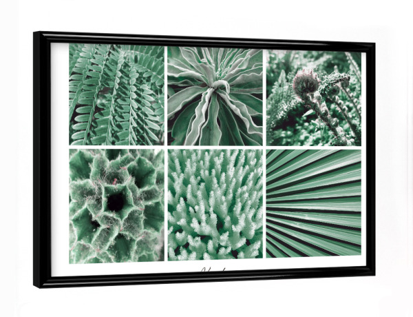 Poster mit schwarzem Rahmen "Green Collage" artboxONE - Natur,Floral,Für Mama