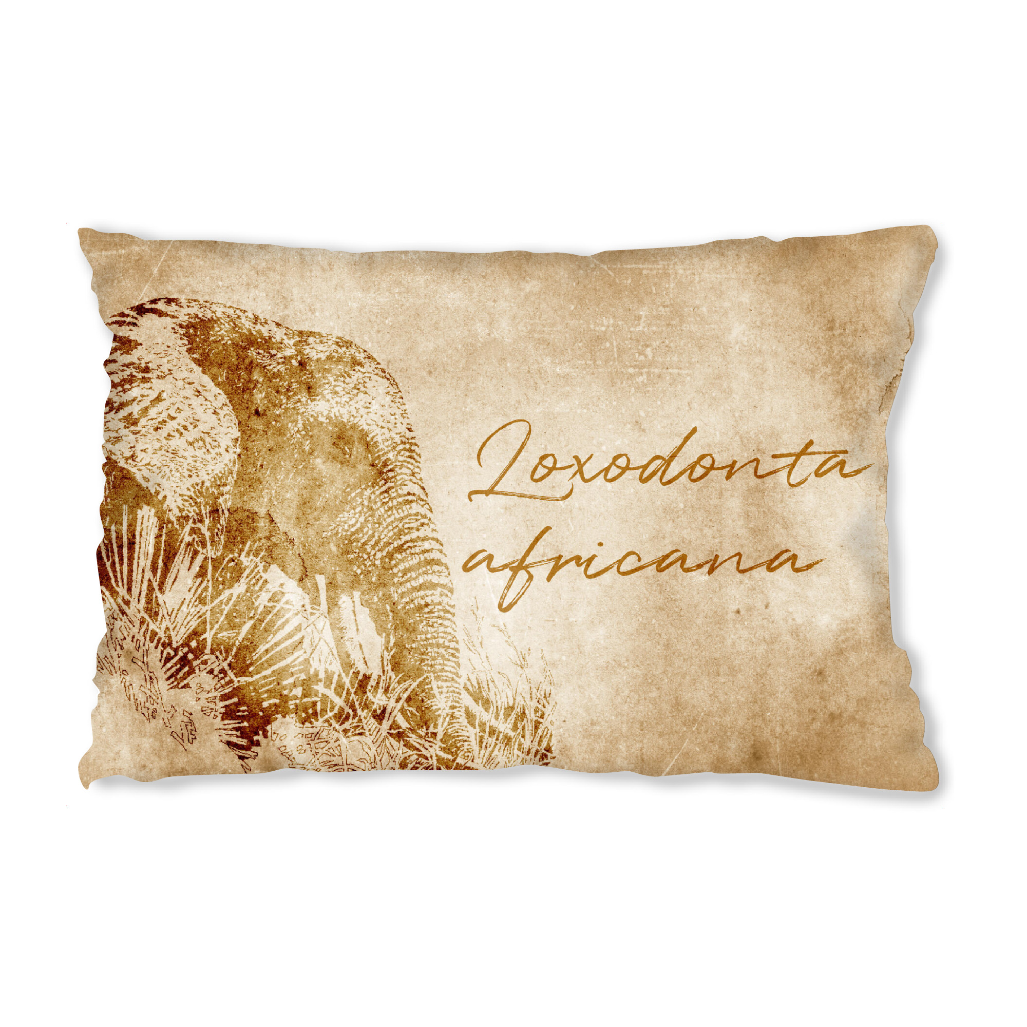 Design-Kissen "Elephant vintage" artboxONE - Reise,Tiere,Reise / Afrika,Reise / Länder