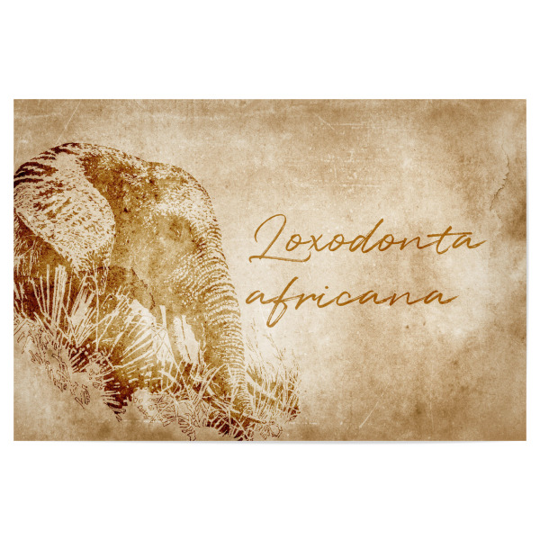 Poster "Elephant vintage" artboxONE - Reise,Tiere,Reise / Afrika,Reise / Länder