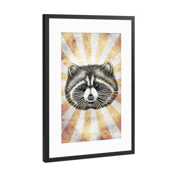 Poster mit Rahmen Schwarz (Metallic) "Racoon retro" artboxONE - Reise,Tiere,Reise / Länder