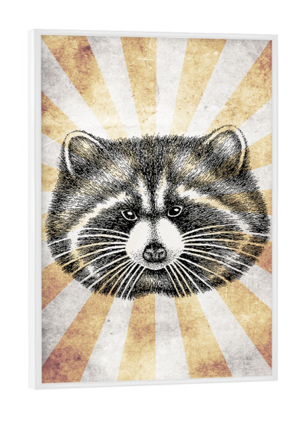 Poster mit weißem Rahmen "Racoon retro" artboxONE - Reise,Tiere,Reise / Länder