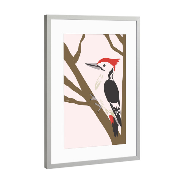 Poster mit Rahmen Silber "Cute woodpecker" artboxONE - Für Kinder,Tiere