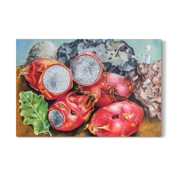 Galerie-Print "Mexikanische Pitahayas" 30x20 cm artboxONE