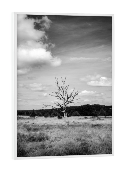 Poster mit weißem Rahmen "Harshness" artboxONE - Natur,Reise,Schwarzweiß,Reise / Strand und Meer,Reise / Länder - Baum,Monochrome,Schwarzweiß,Moody