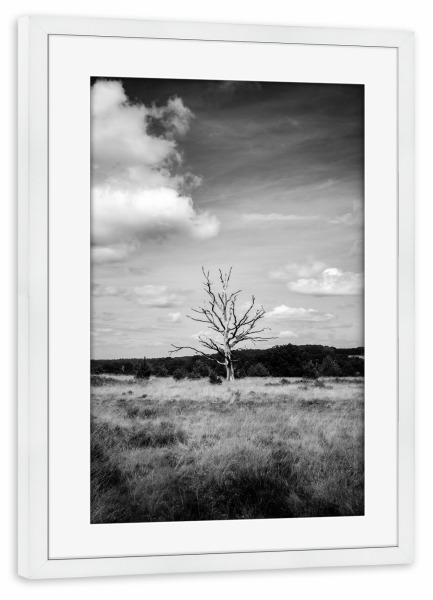 Poster mit Rahmen weiß "Harshness" artboxONE - Natur,Reise,Schwarzweiß,Reise / Strand und Meer,Reise / Länder - Baum,Monochrome,Schwarzweiß,Moody