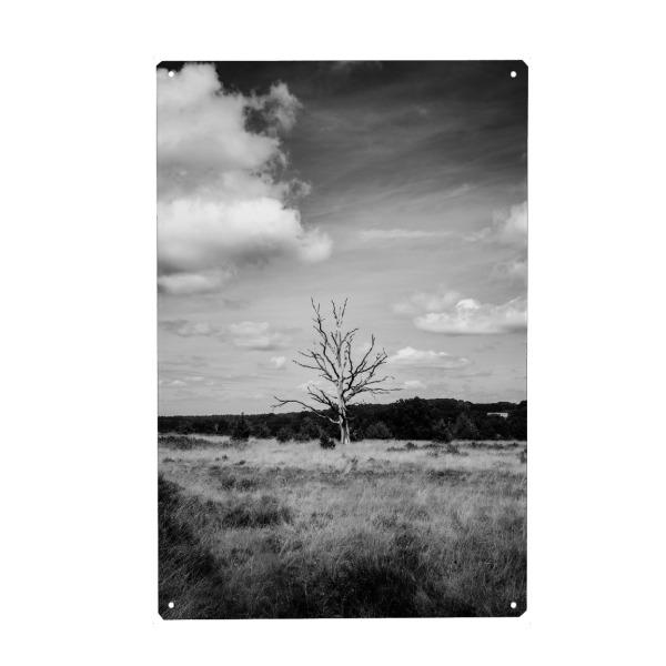 Metall Poster "Harshness" artboxONE - Natur,Reise,Schwarzweiß,Reise / Strand und Meer,Reise / Länder - Baum,Monochrome,Schwarzweiß,Moody