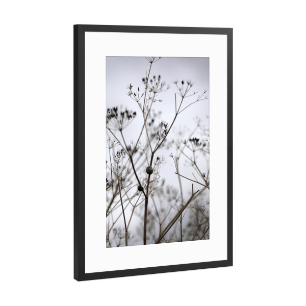 Poster mit Rahmen Schwarz (Metallic) "Pflanzen Silhouette schwarz weiß" artboxONE - Natur,Floral,Schwarzweiß