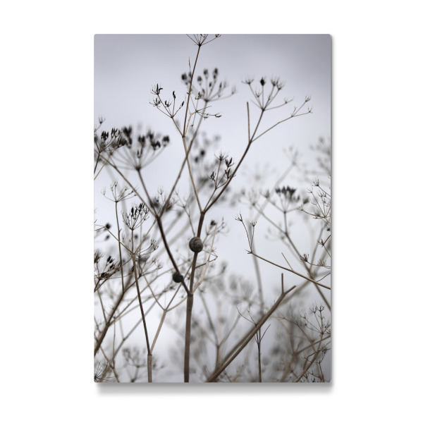 Galerie-Print "Pflanzen Silhouette schwarz weiß" 30x20 cm artboxONE