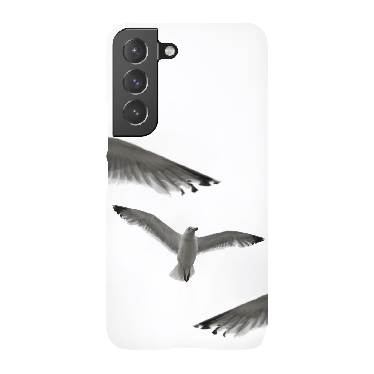 Samsung Galaxy "Möwe mit Himmel schwarz-weiß" Premium-Case Handyhülle artboxONE