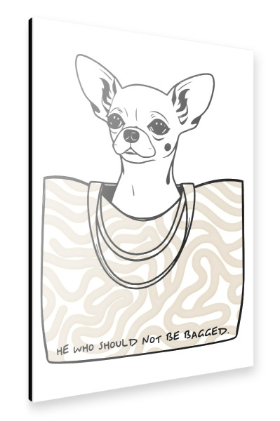 Alu-Dibond "He Who Should Not Be Bagged" 30x20 cm artboxONE