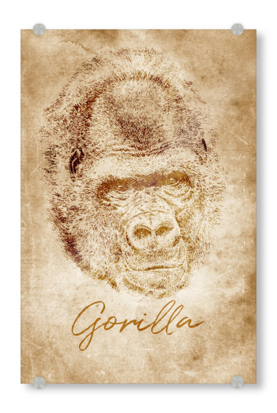 Acrylglasbild "Gorilla vintage" artboxONE - Reise,Tiere,Reise / Afrika,Reise / Länder