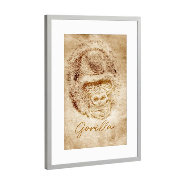 Poster mit Rahmen Silber "Gorilla vintage" artboxONE - Reise,Tiere,Reise / Afrika,Reise / Länder