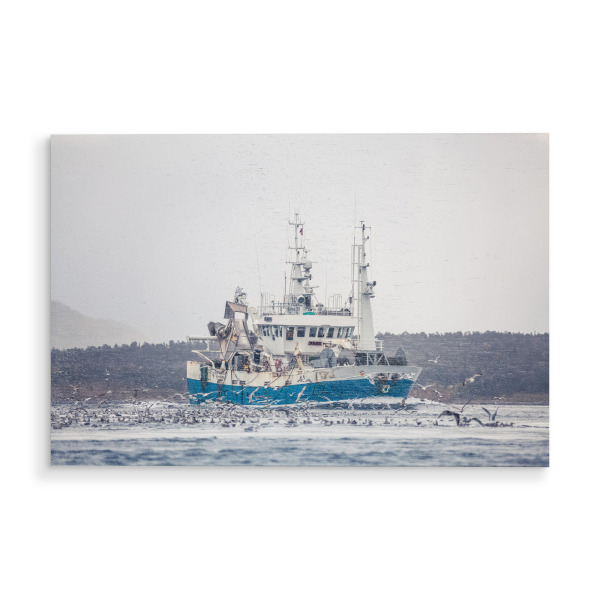 Holzbild "Fischerboot Norwegen" artboxONE - Reise,Reise / Länder - Fischkutter,Fischfang,Schiff,Norwegische küste,Skandinavien,Möwen,Vögel,Meer