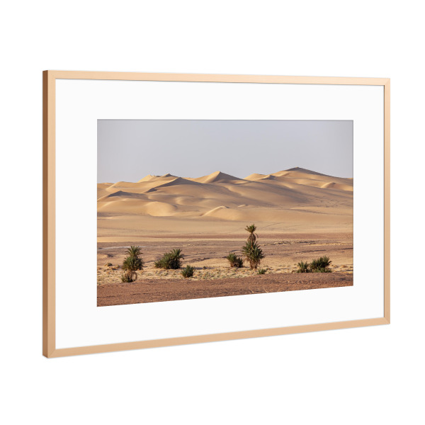 Poster mit Rahmen Kupfer "Die Sanddünen der Sahara" artboxONE - Reise / Afrika - Sahara,Wüste,Algerien,Düne,Sanddüne,Sand,Palme,Oase