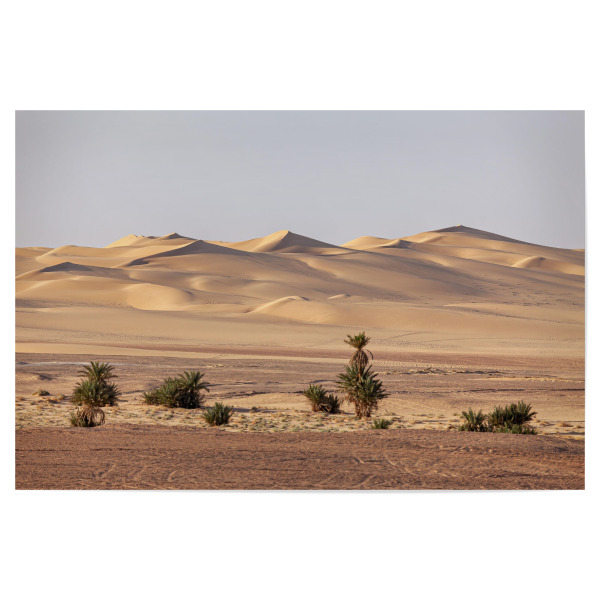 Poster 30x20 cm "Die Sanddünen der Sahara" artboxONE - Reise / Afrika - Sahara,Wüste,Algerien,Düne,Sanddüne,Sand,Palme,Oase