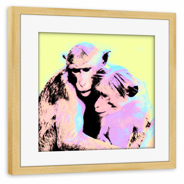 Poster mit Rahmen kiefer "Monkeys Pop Art" artboxONE - Natur,Reise,Tiere,Reise / Asien,Reise / Länder