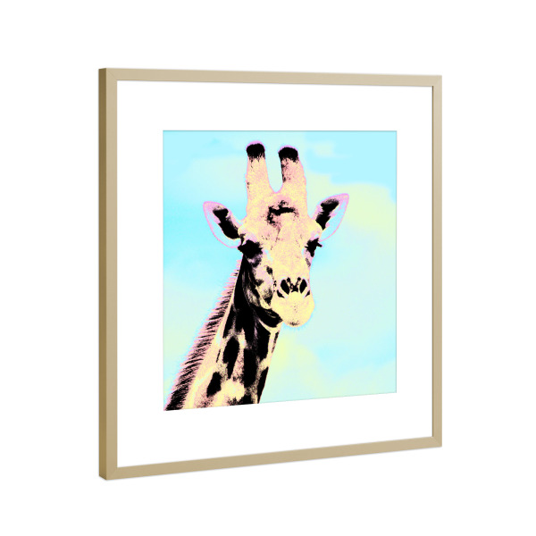 Poster mit Rahmen Gold "Giraffe Pop-Art" artboxONE - Natur,Reise,Tiere,Reise / Afrika,Reise / Länder