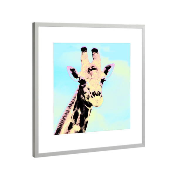 Poster mit Rahmen Silber "Giraffe Pop-Art" artboxONE - Natur,Reise,Tiere,Reise / Afrika,Reise / Länder