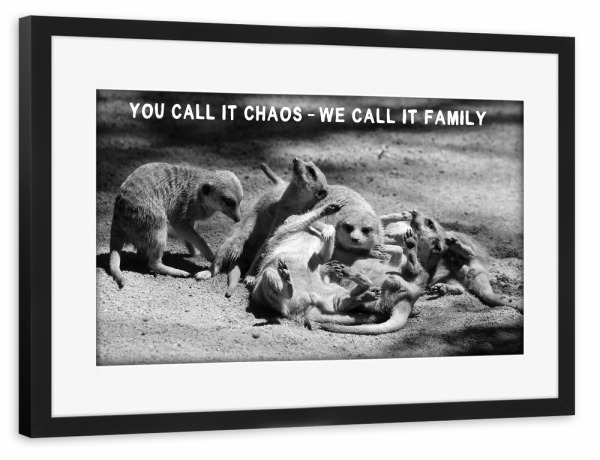 Poster mit Rahmen schwarz "Erdmännchen sw We call it Family" artboxONE - Typografie,Tiere,Liebe,Für Mama,Lustig