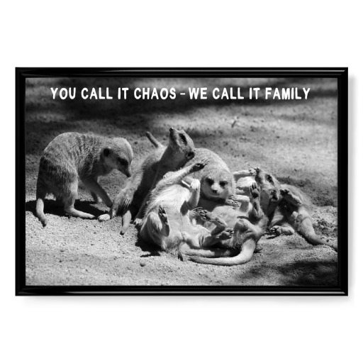 Erdmännchen sw We call it Family