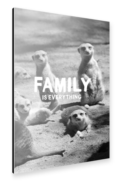 Alu-Dibond "Meerkat Family is everything sw" 75x50 cm artboxONE