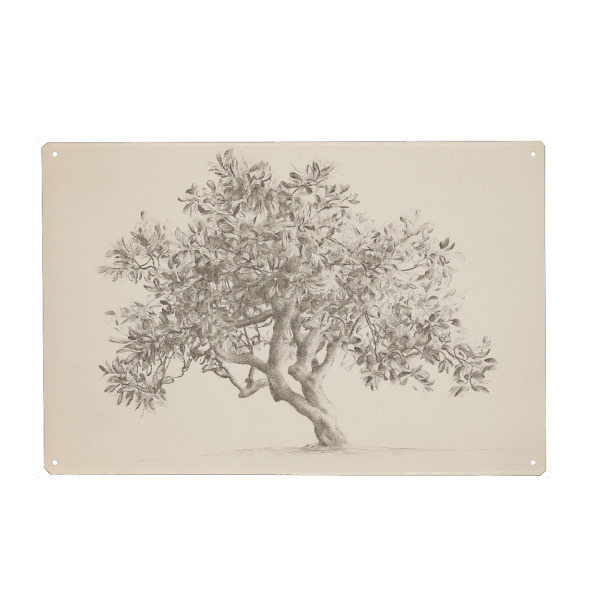 Metall Poster "Baumzeichnung" artboxONE - Natur,Floral,Liebe,Für Mama - Baum,Bäume,Zeichnung,Bleistift,Skizze - Blechschild