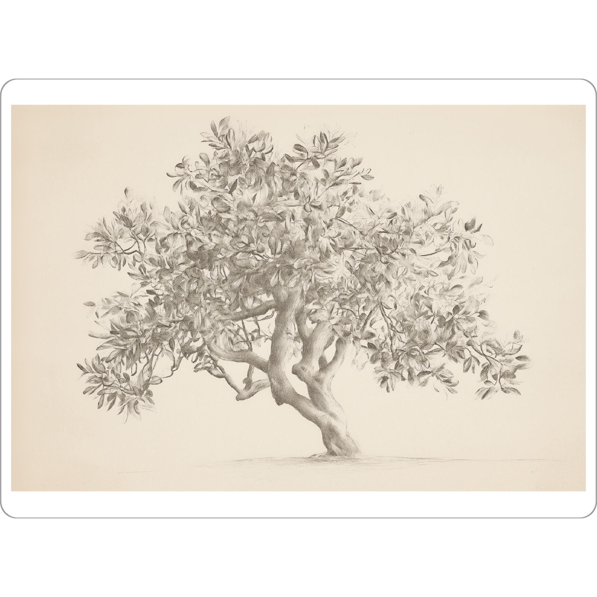 Tischset "Baumzeichnung" artboxONE - Natur,Floral,Liebe,Für Mama - Baum,Bäume,Zeichnung,Bleistift,Skizze - Bild baum