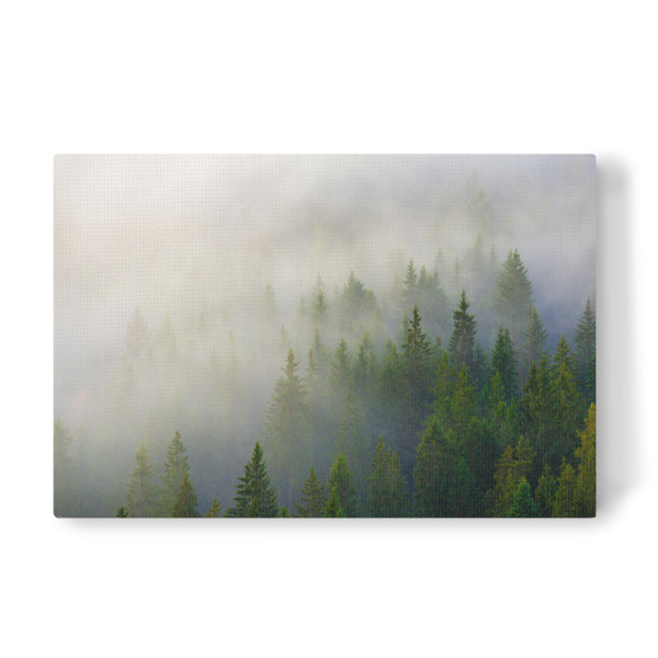 Leinwandbild "Nebelwald in den Tiroler Alpen" artboxONE - Natur - Wald,Nadelwald,Nebel,Tirol,Alpen,Herbst,Gebirge,Landschaft,Wildschönau,österreich