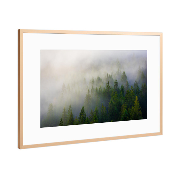 Poster mit Rahmen Kupfer "Nebelwald in den Tiroler Alpen" artboxONE - Natur