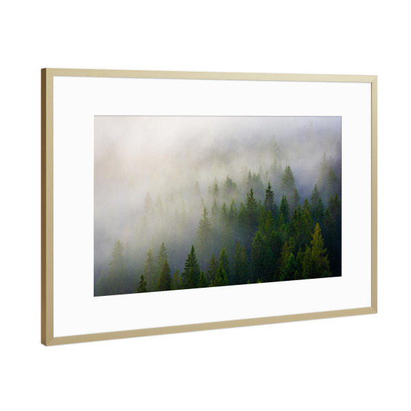 Poster mit Rahmen Gold "Nebelwald in den Tiroler Alpen" artboxONE - Natur